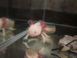 IMG_7644.jpg