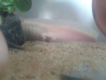20140603_150555.jpg