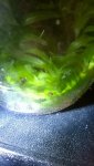 WP_20140605_003.jpg