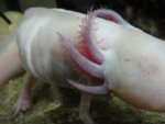 DSC01391.jpg