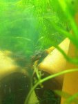 IMG_3955.jpg