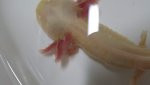 20140623_142631.jpg