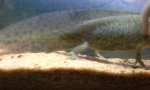 20140623_202052.jpg