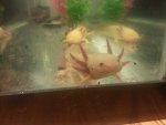 20140711_001632.jpg