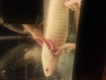 20140711_001603.jpg