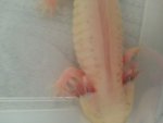 20140712_075348.jpg