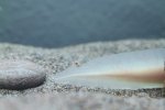 IMG_7502.jpg