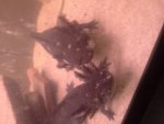 20140717_144846.jpg