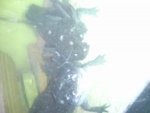 20140717_144935.jpg