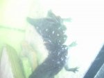 20140717_144927.jpg
