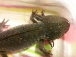 20140816_001907.jpg