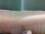 ImageUploadedByTapatalk1410479815.910638.jpg ImageUploadedByTapatalk1410479815.910638.jpg