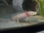 20140911_165224.jpg