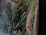20140910_153131.jpg