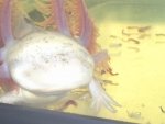 20140914_225117.jpg