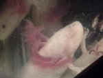 20140914_225644.jpg
