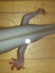 uploadfromtaptalk1411791342333.jpg