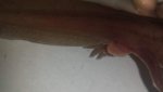 20141002_102230.jpg