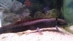IMG_20141028_180019847.jpg