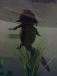 received_957773894250792.jpeg