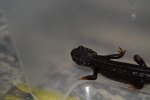 DSC_0332.jpg