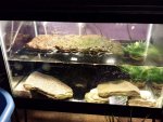 20141125_004418.jpg