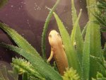 20141125_004458.jpg