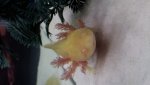 20141214_010039.jpg