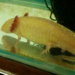 2015-01-09 16.07.50.jpg