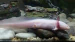20150202_163200.jpg 20150202_163200.jpg