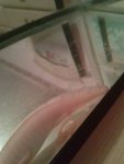 CAM03112.jpg