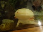 DSC02513.jpg