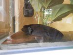 2015-03-07 20.44.55.jpg