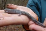 wash and lee march 2015 trip 096.jpg