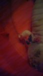 IMAG0164.jpg
