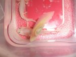 DSC00745.jpg