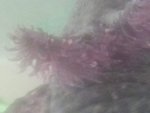 1428074856260.jpg