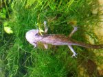 20150403_213854.jpg
