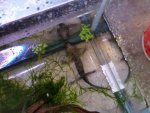 20150407_184824.jpg