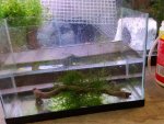 20150407_184819.jpg