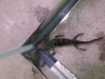 20150415_100359.jpg