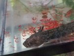 20150420_120102.jpg