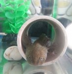 Sticky (25)ed.jpg
