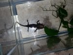20150422_083733.jpg