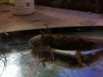 20150424_183104.jpg