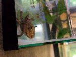 20150428_193358.jpg