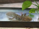 20150503_133705.jpg