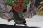 IMG_7407 - Version 2.jpg
