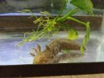 20150507_095654.jpg