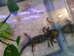 20150507_095944.jpg